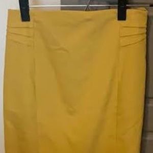 Express pencil skirt